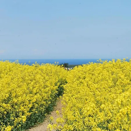 펜션 In Mit Terrasse Neubukow