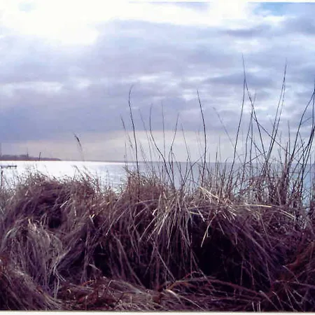 펜션 In Mit Terrasse