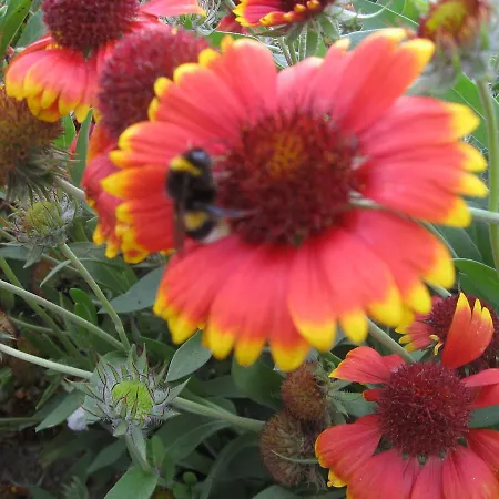 In Mit Terrasse Neubukow